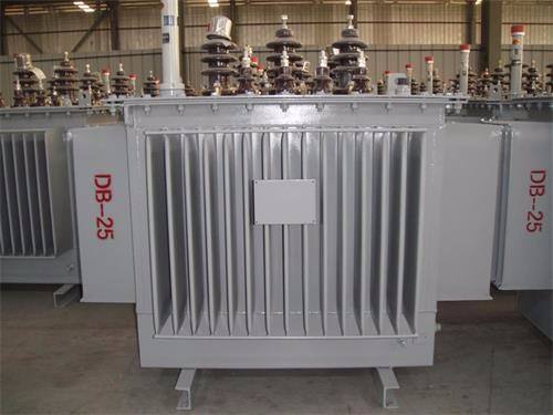 荆州S13-100KVA/10KV/0.4KV油浸式变压器